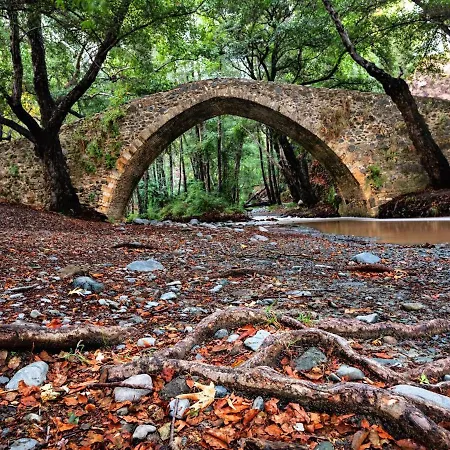 Angels Traditional House * Arminou